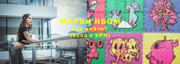индика Железноводск