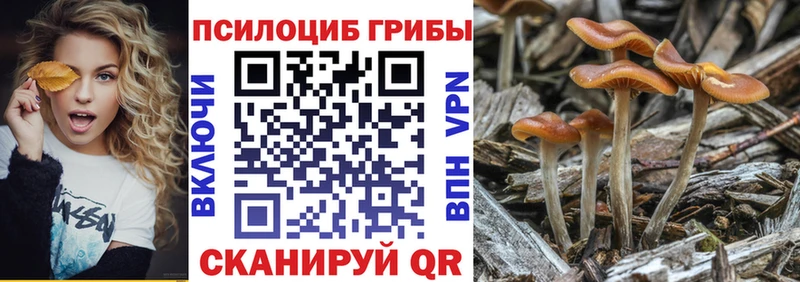 магазин продажи наркотиков  Мглин  Галлюциногенные грибы ЛСД 